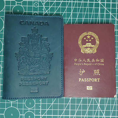 VbusiL19 Nature Leather Simple Passport Holder - 副本